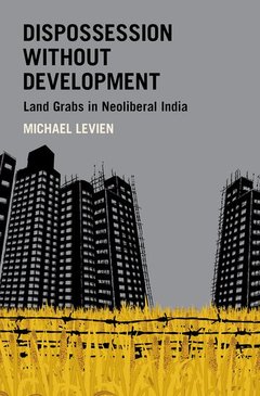 Cover of the book Dispossession without Development