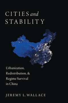 Cover of the book Cities and Stability
