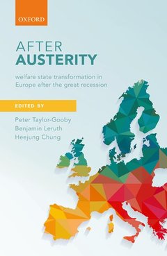 Cover of the book After Austerity