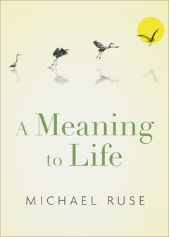 Cover of the book A Meaning to Life