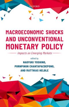 Cover of the book Macroeconomic Shocks and Unconventional Monetary Policy