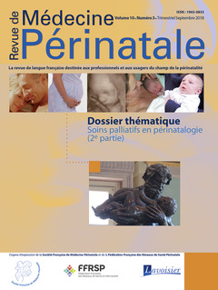 Cover of the book Soins palliatifs en périnatalogie - 2ème partie
