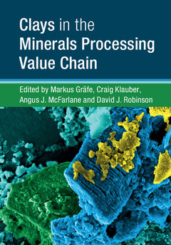 Cover of the book Clays in the Minerals Processing Value Chain