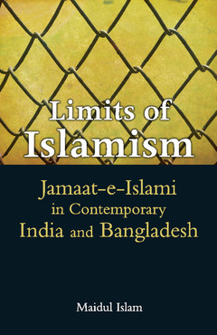 Couverture de l’ouvrage Limits of Islamism