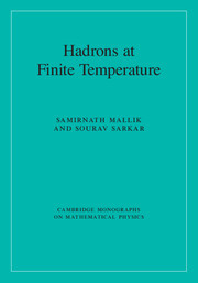 Couverture de l’ouvrage Hadrons at Finite Temperature