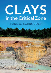 Couverture de l’ouvrage Clays in the Critical Zone