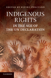 Couverture de l’ouvrage Indigenous Rights in the Age of the UN Declaration