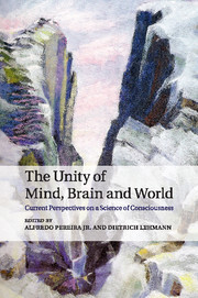 Couverture de l’ouvrage The Unity of Mind, Brain and World