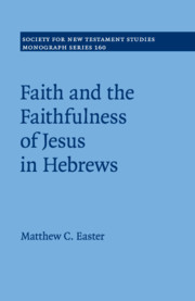 Couverture de l’ouvrage Faith and the Faithfulness of Jesus in Hebrews