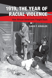 Cover of the book 1919, The Year of Racial Violence