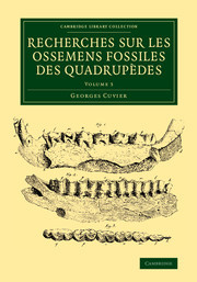 Cover of the book Recherches sur les ossemens fossiles des quadrupèdes