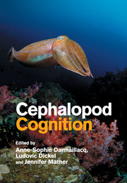Cover of the book Cephalopod Cognition