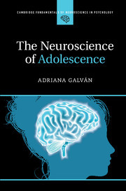 Couverture de l’ouvrage The Neuroscience of Adolescence