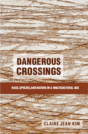 Cover of the book Dangerous Crossings