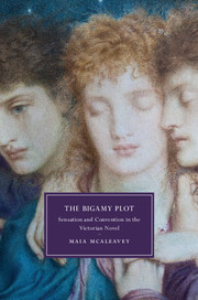 Couverture de l’ouvrage The Bigamy Plot