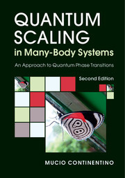 Cover of the book Quantum Scaling in Many-Body Systems
