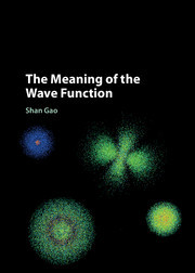 Cover of the book The Meaning of the Wave Function