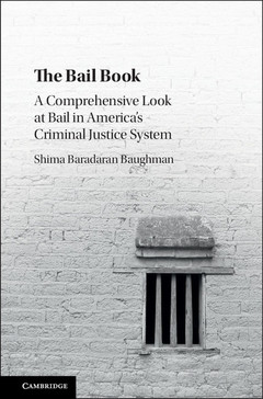 Cover of the book The Bail Book