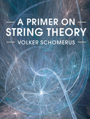 Cover of the book A Primer on String Theory