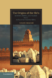 Couverture de l’ouvrage The Origins of the Shi'a