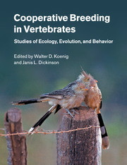 Couverture de l’ouvrage Cooperative Breeding in Vertebrates