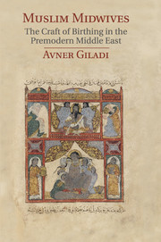 Cover of the book Muslim Midwives
