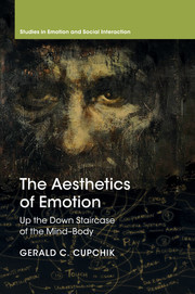 Cover of the book The Aesthetics of Emotion