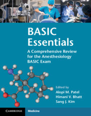 Couverture de l’ouvrage BASIC Essentials