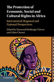 Couverture de l’ouvrage The Protection of Economic, Social and Cultural Rights in Africa