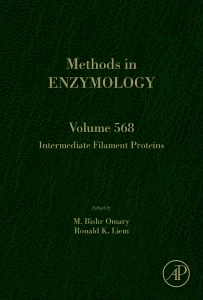 Couverture de l’ouvrage Intermediate Filament Proteins
