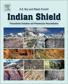Cover of the book Indian Shield