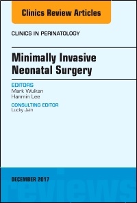 Cover of the book Minimally Invasive Neonatal Surgery, An Issue of Clinics in Perinatology