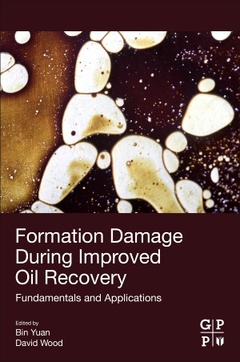 Couverture de l’ouvrage Formation Damage during Improved Oil Recovery