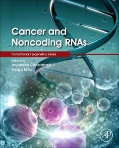 Couverture de l’ouvrage Cancer and Noncoding RNAs