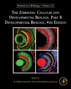 Couverture de l’ouvrage The Zebrafish: Cellular and Developmental Biology, Part B Developmental Biology