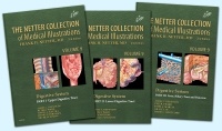 Couverture de l’ouvrage The Netter Collection of Medical Illustrations: Digestive System Package