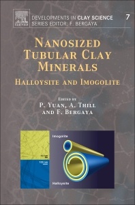 Couverture de l’ouvrage Nanosized Tubular Clay Minerals