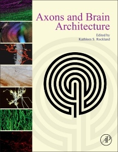 Cover of the book Axons and Brain Architecture