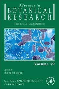 Couverture de l’ouvrage Artificial Photosynthesis