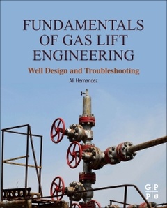 Couverture de l’ouvrage Fundamentals of Gas Lift Engineering