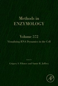 Cover of the book Visualizing RNA Dynamics in the Cell