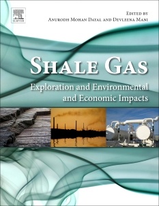 Couverture de l’ouvrage Shale Gas