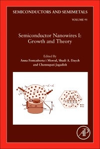 Cover of the book Semiconductor Nanowires I: Growth and Theory