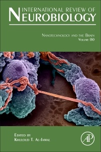 Cover of the book Nanotechnology and the Brain