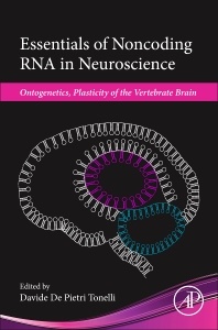 Couverture de l’ouvrage Essentials of Noncoding RNA in Neuroscience