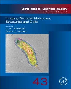 Cover of the book Imaging Bacterial Molecules, Structures and Cells