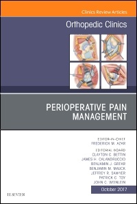 Couverture de l’ouvrage Perioperative Pain Management, An Issue of Orthopedic Clinics