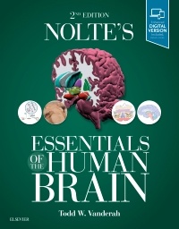 Couverture de l’ouvrage Nolte's Essentials of the Human Brain
