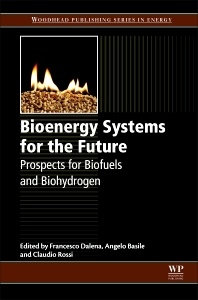 Couverture de l’ouvrage Bioenergy Systems for the Future