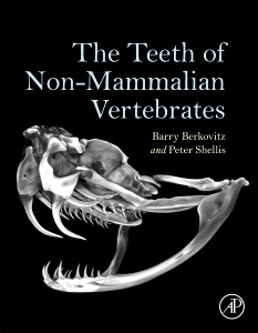 Couverture de l’ouvrage The Teeth of Non-Mammalian Vertebrates